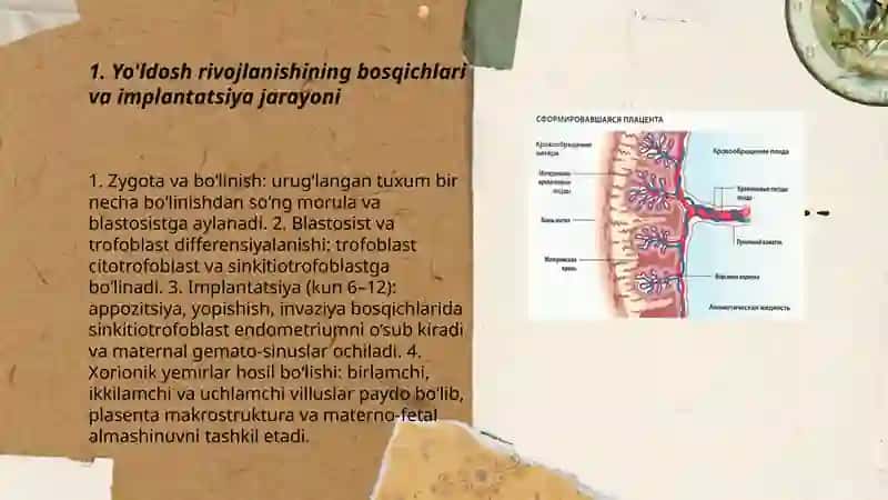Yo'ldoshning rivojlanishi 3