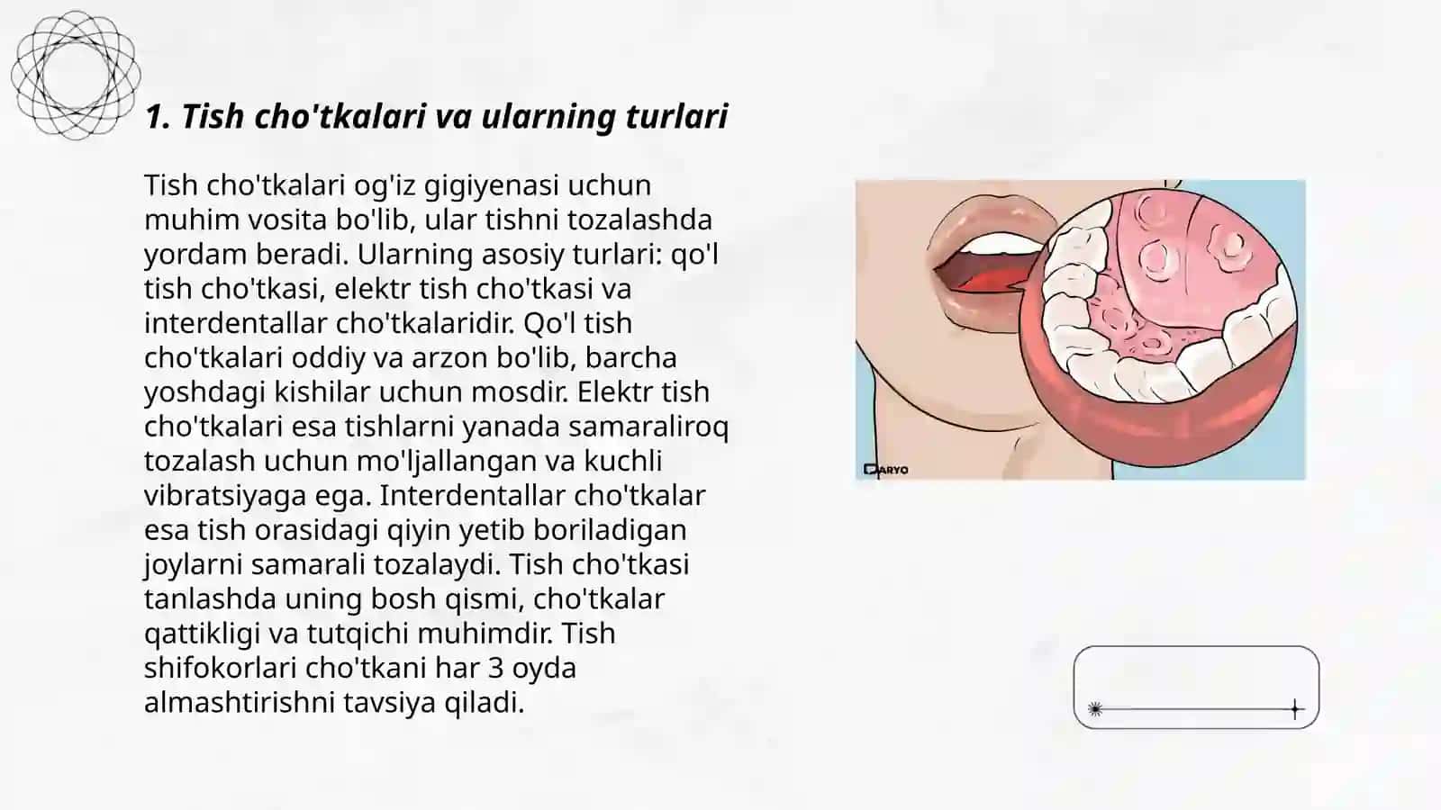 Tish cho'tkalari va ularning turlari 3