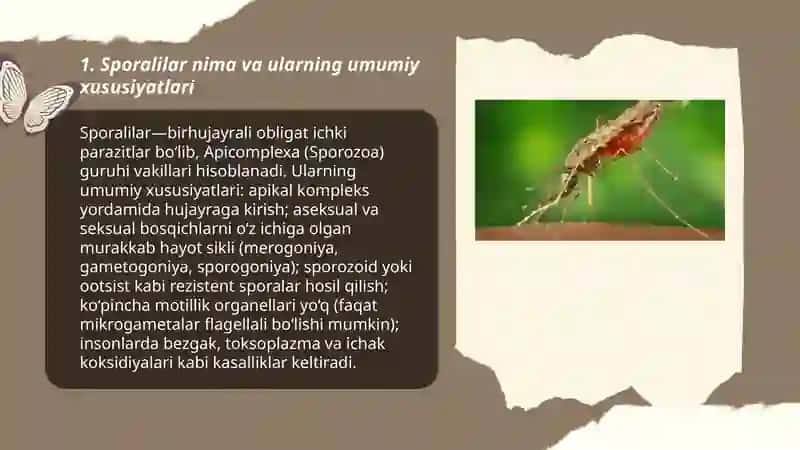 Sporalilar-odam parazitlari 3