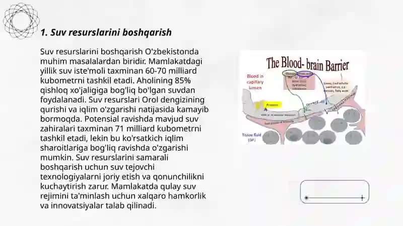 Miyani qon bilan ta'minlanishi 3