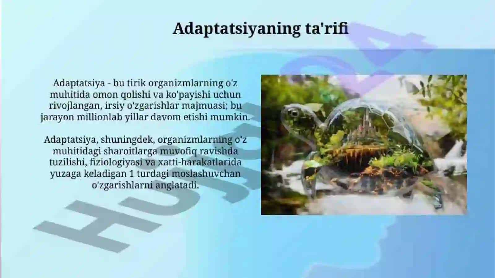 Moslashishning Bosqichlari va Turlari 3
