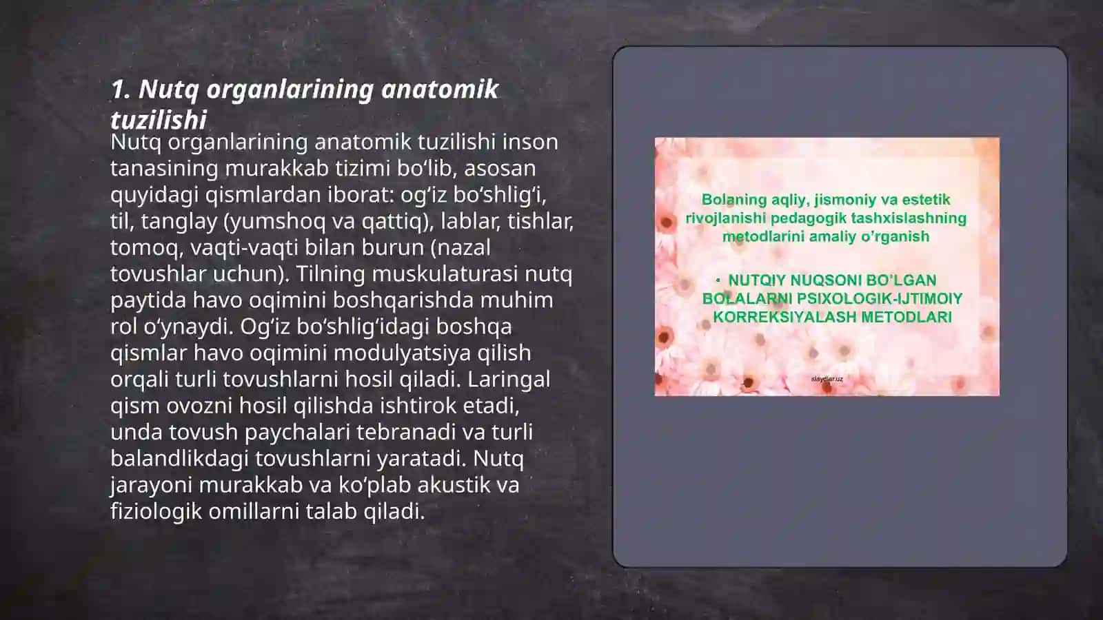 Nutqning anatomik-fiziologik xususiyatlari 3