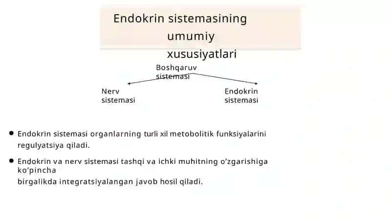 Endokrin Sistema Fiziologiyasi 3