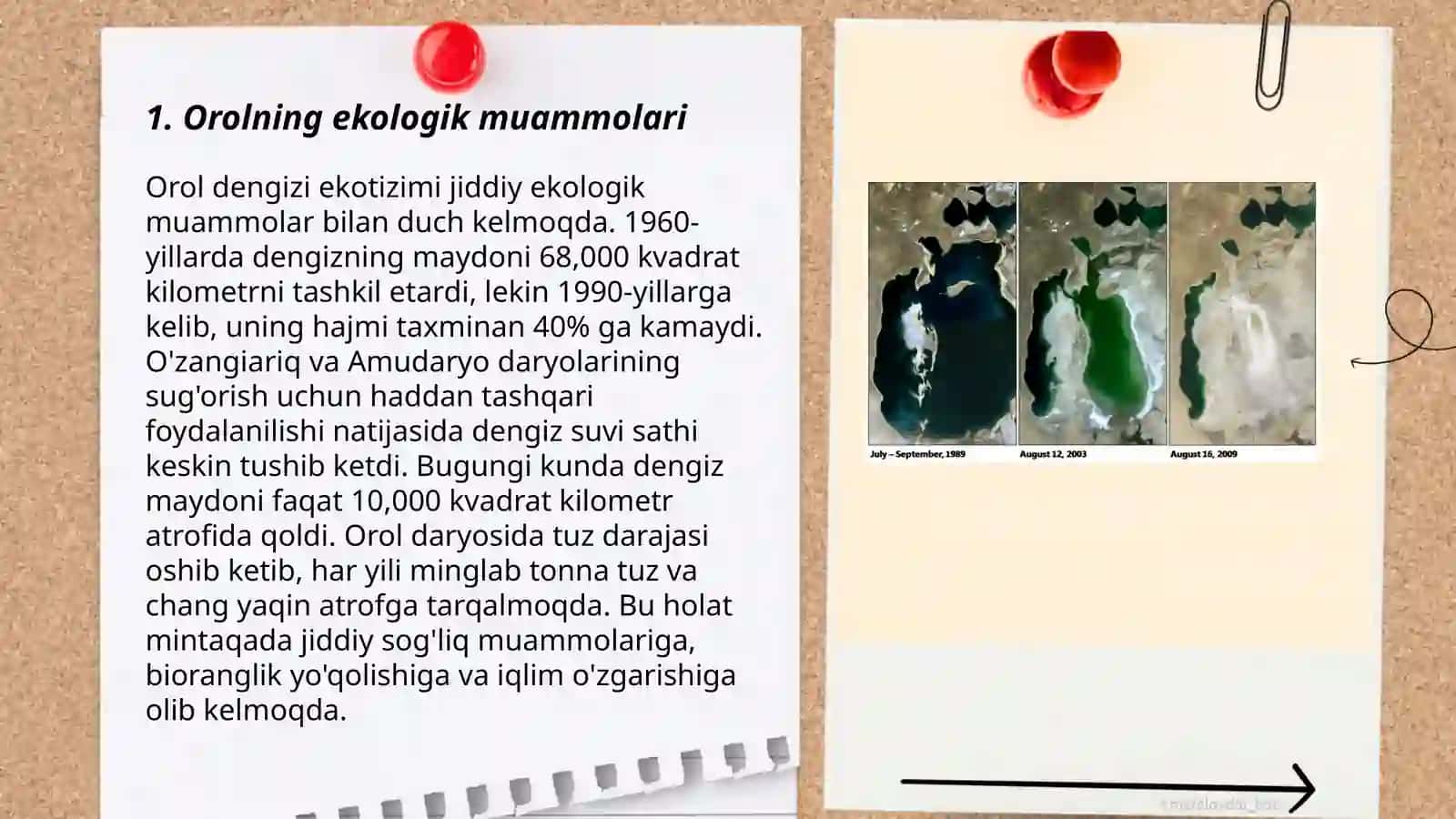 Orol va orolbo'yi muammolari 3