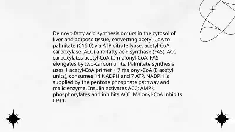 Lipids metabolism 3