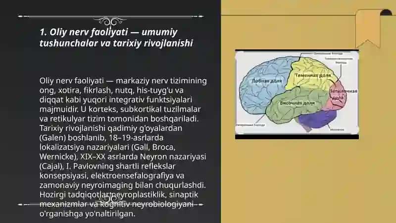 Oliy nerv faoliyati 3