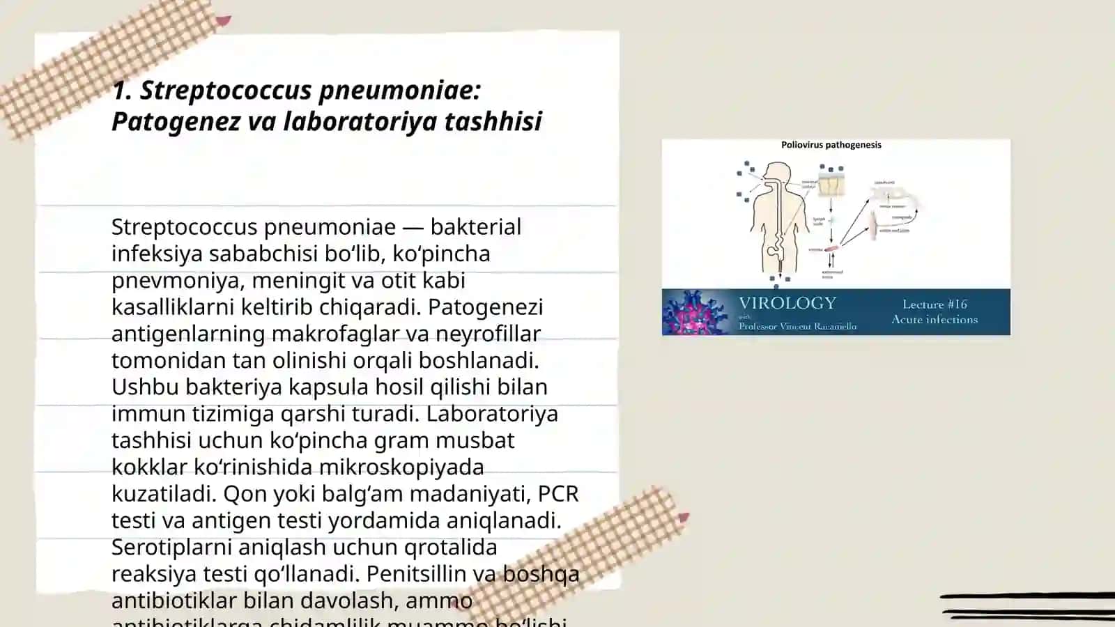 Pediatriya amaliyotda ko'p uchraydigan infeksiyalar qo'zg'atuvchilari, patogenez, laboratoriya tashhisi 3