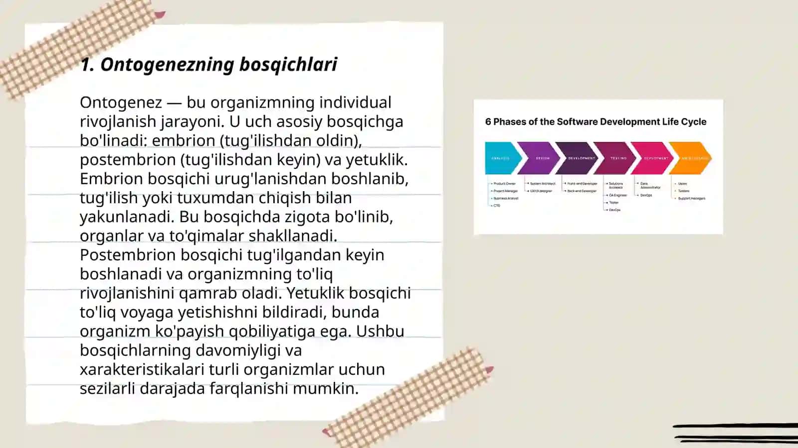 Ontogenez.Embrional taraqqiyotning xususiyatlari.Postnatal ontogenezning asosiy davrlari 3