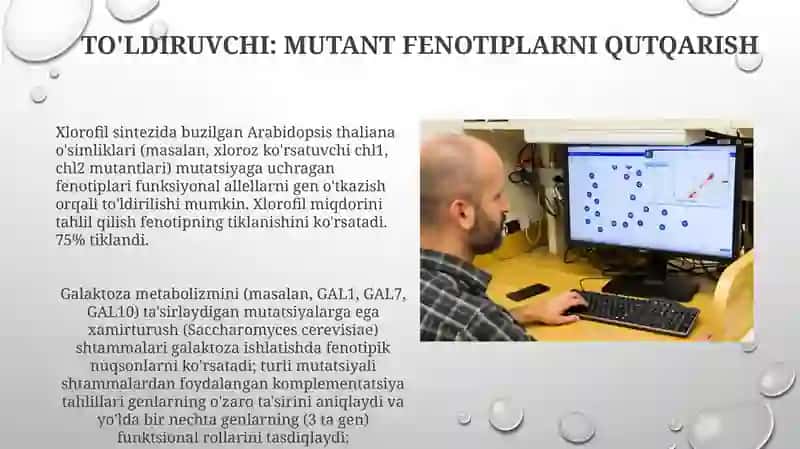 To'ldiruvchi: Mutant fenotiplarni qutqarish 3