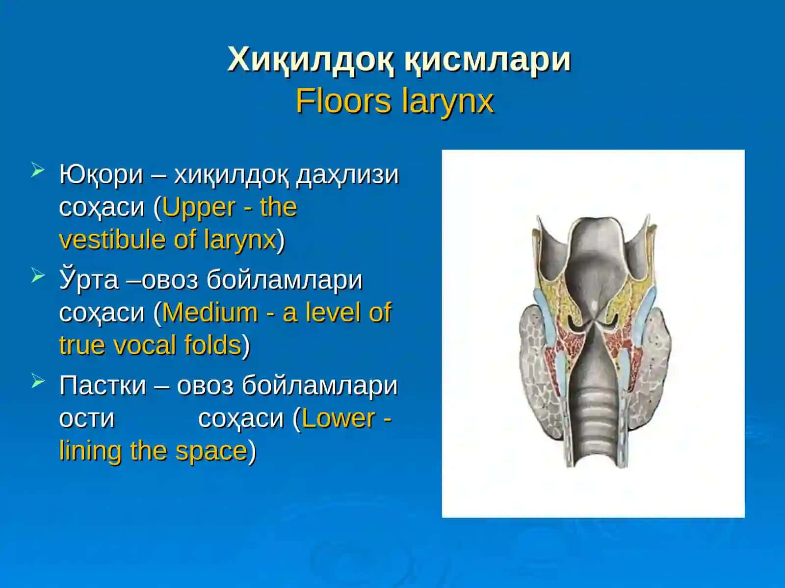 ҲИҚИЛДОҚНИНГ ЎТКИР ВА СУРУНКАЛИ КАСАЛЛИКЛАРИ 3