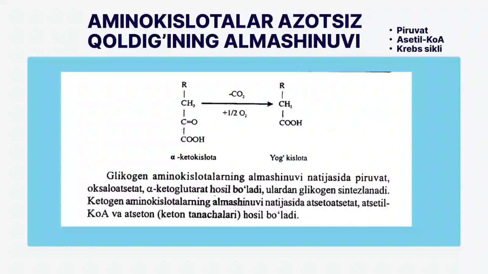 Uglevodlar, yog'lar va aminokislotalar almashinuvining o'zaro bog'liqligi 3