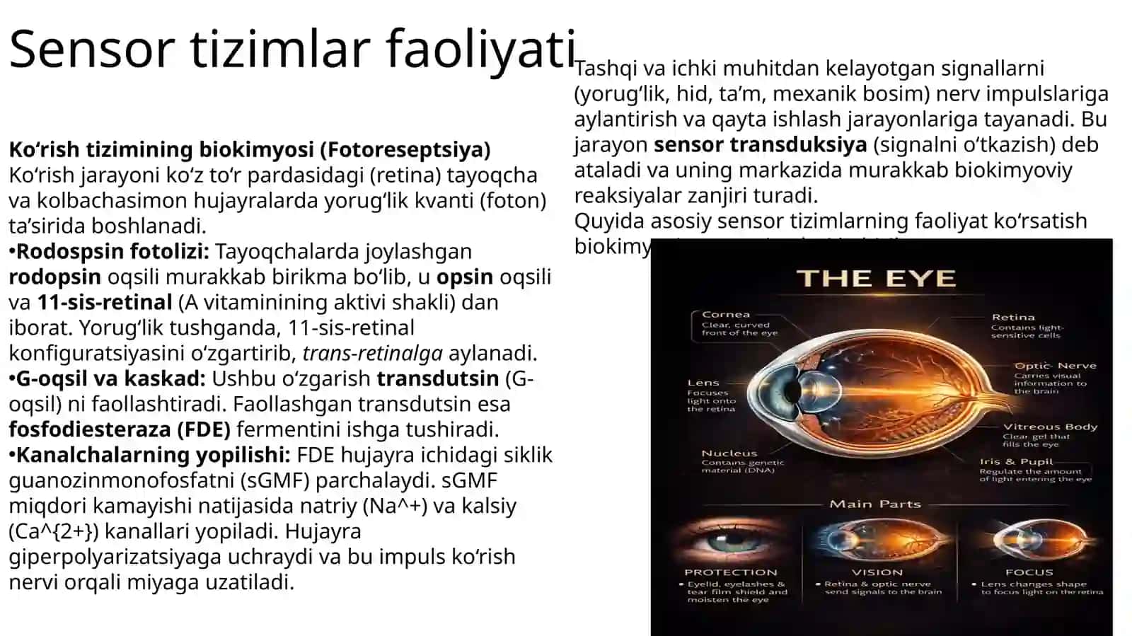 TDTU 218-A guruh talabasi 3