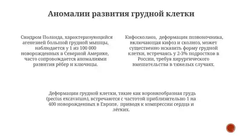 Аномалии развития скелета 3