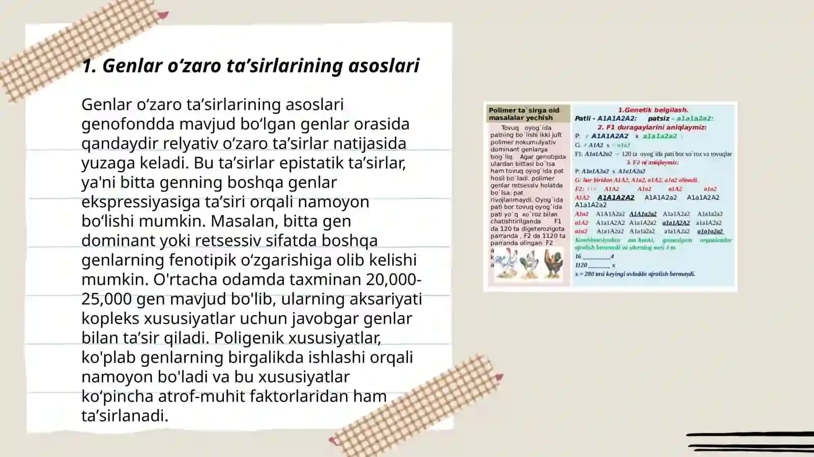 Genlar oʻzaro taʼsirlarining asoslari 3