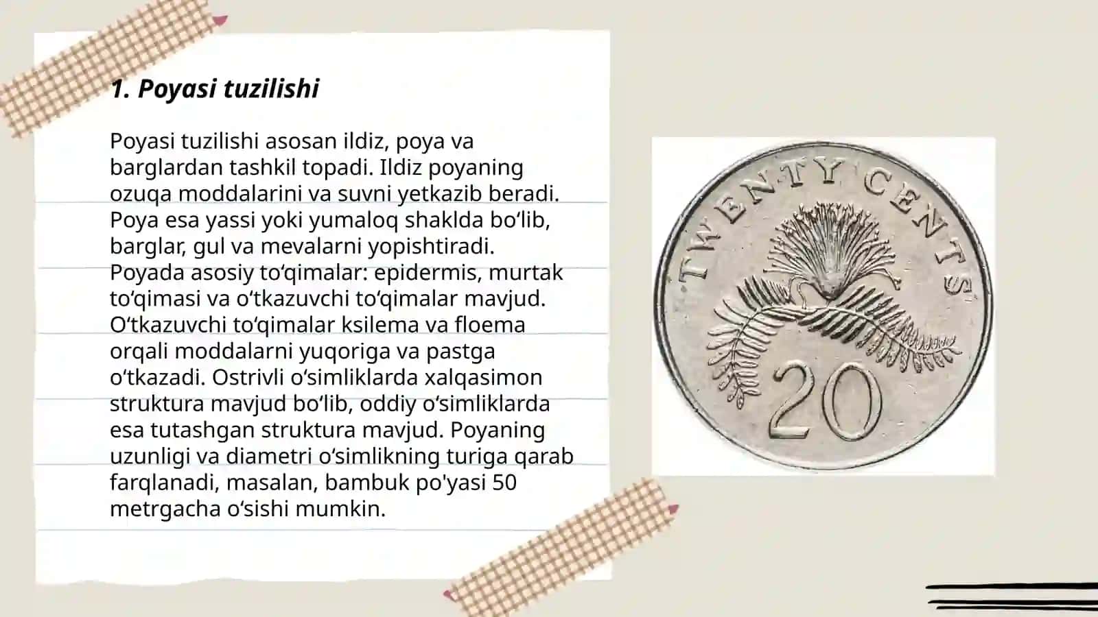 Poyasi tuzilishi 3