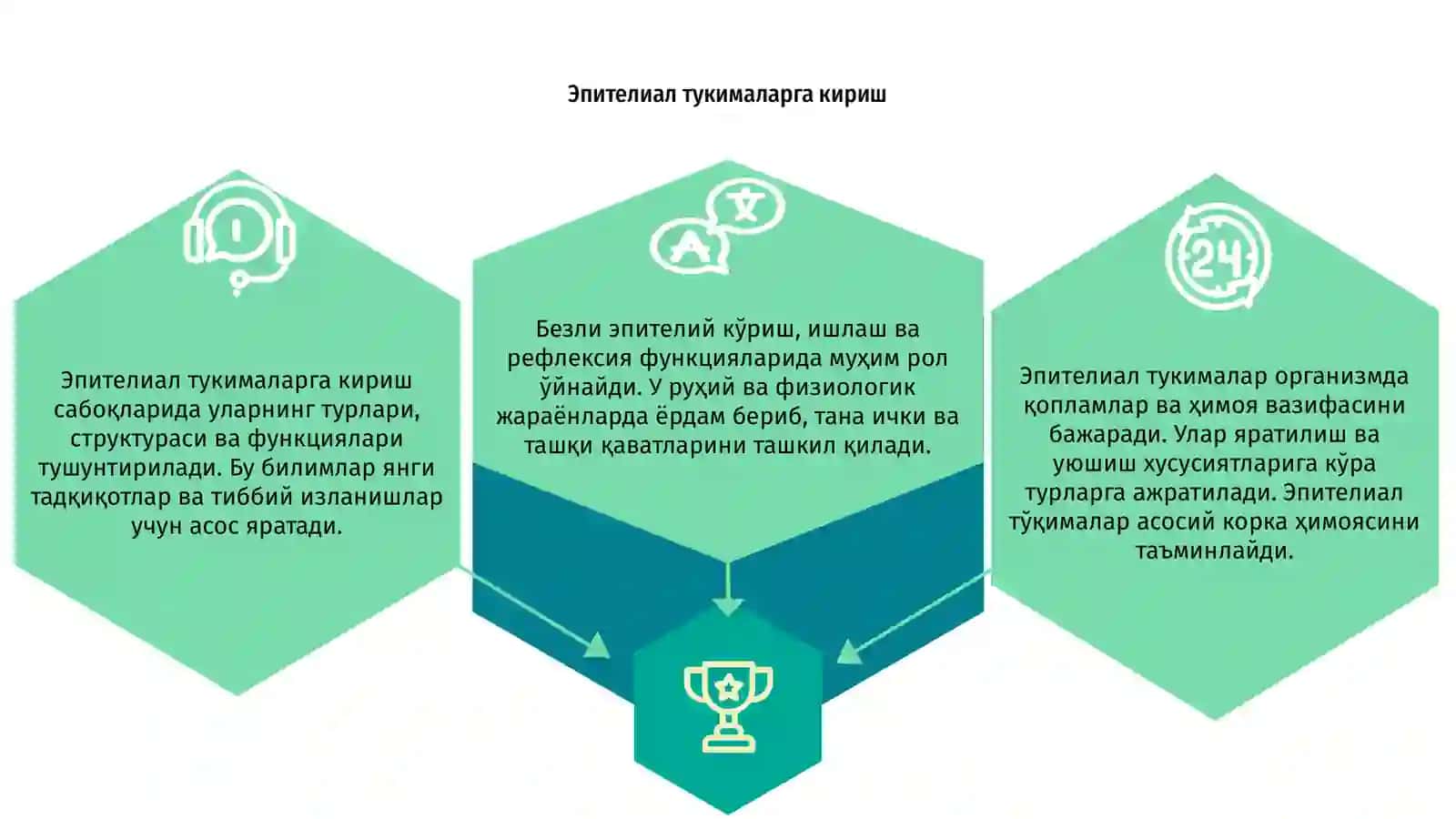 Эпителиал тукималар 3