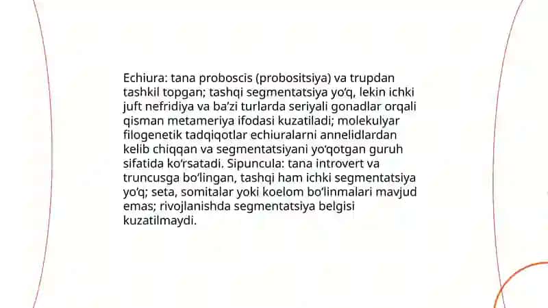 Echiura va sipuncula tiplari 3