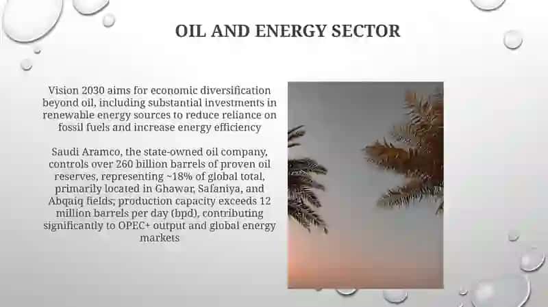 The Future of Saudi Arabia 3