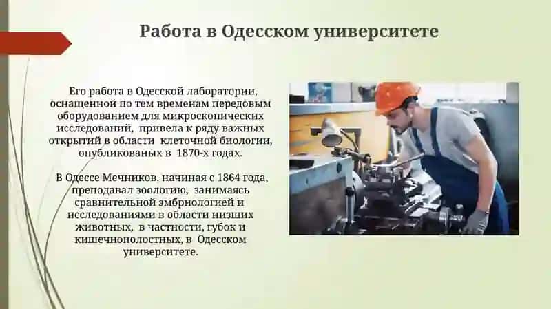 И. И. Мечников 3