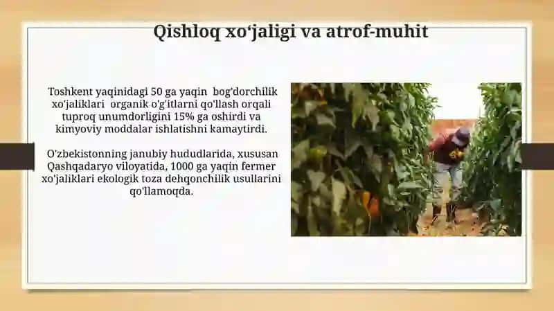 Qishloq qo’jaligi 3