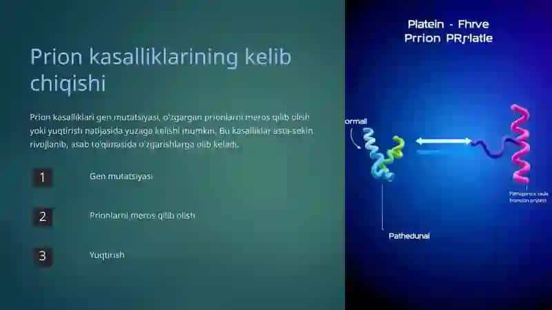 Prion kasalliklari 3