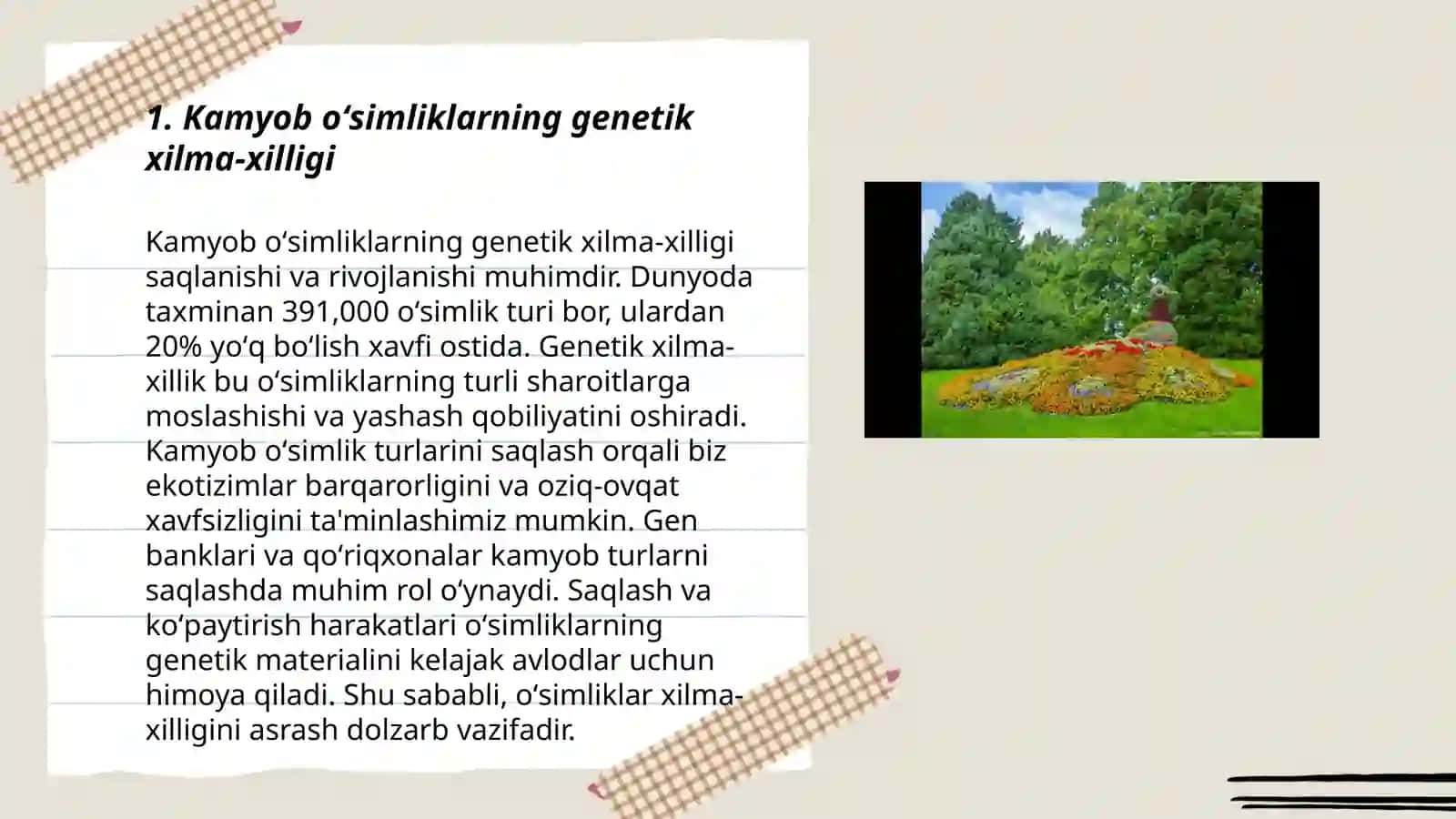 Kamyob va noyob oʻsimliklar 3