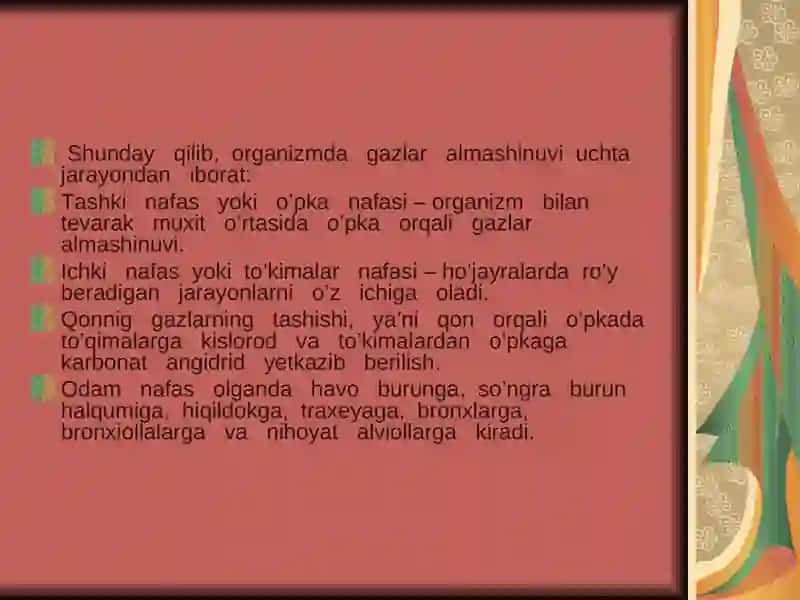 Nafas fiziologiyasi 3