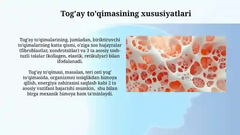 Tog'ay va suyak to'qimasi 3