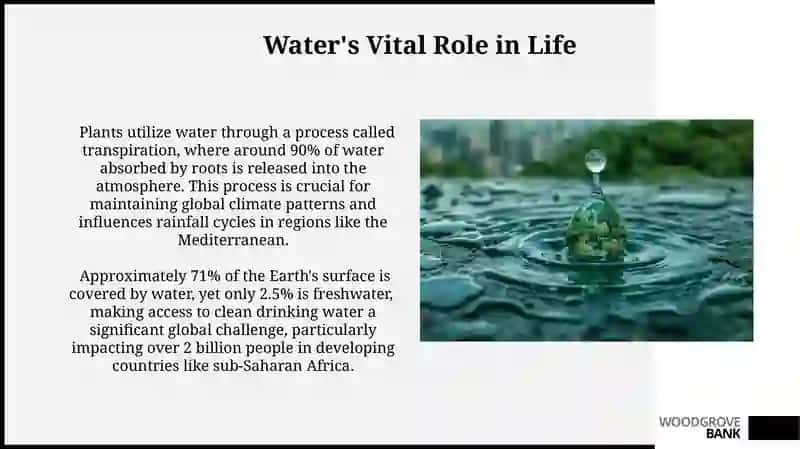 Importance of water 3