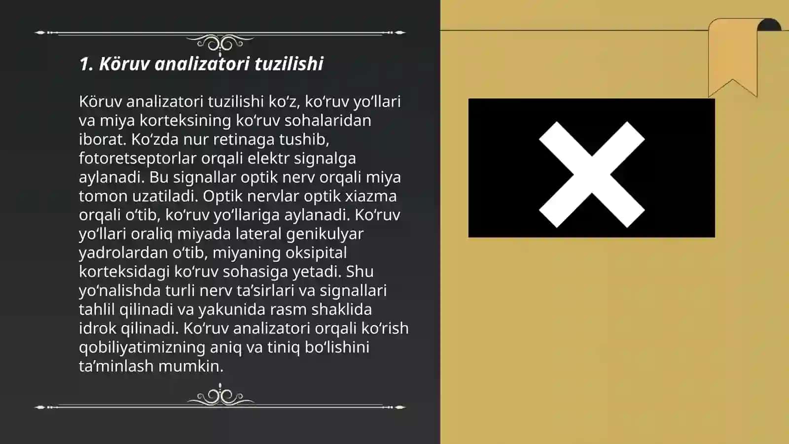 Köruv analizatori 3