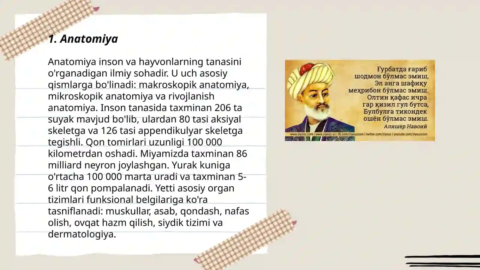 Ibin Sinoning Tib qonunlar asari 3