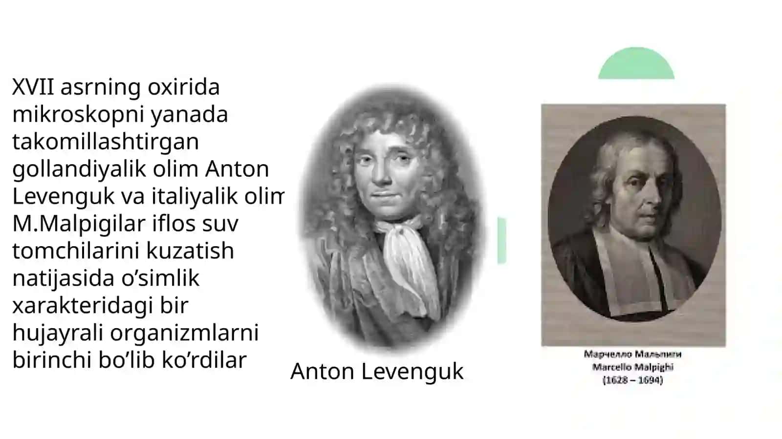 Hujayraviy ta’limotning rivojlanish  tarixi 3