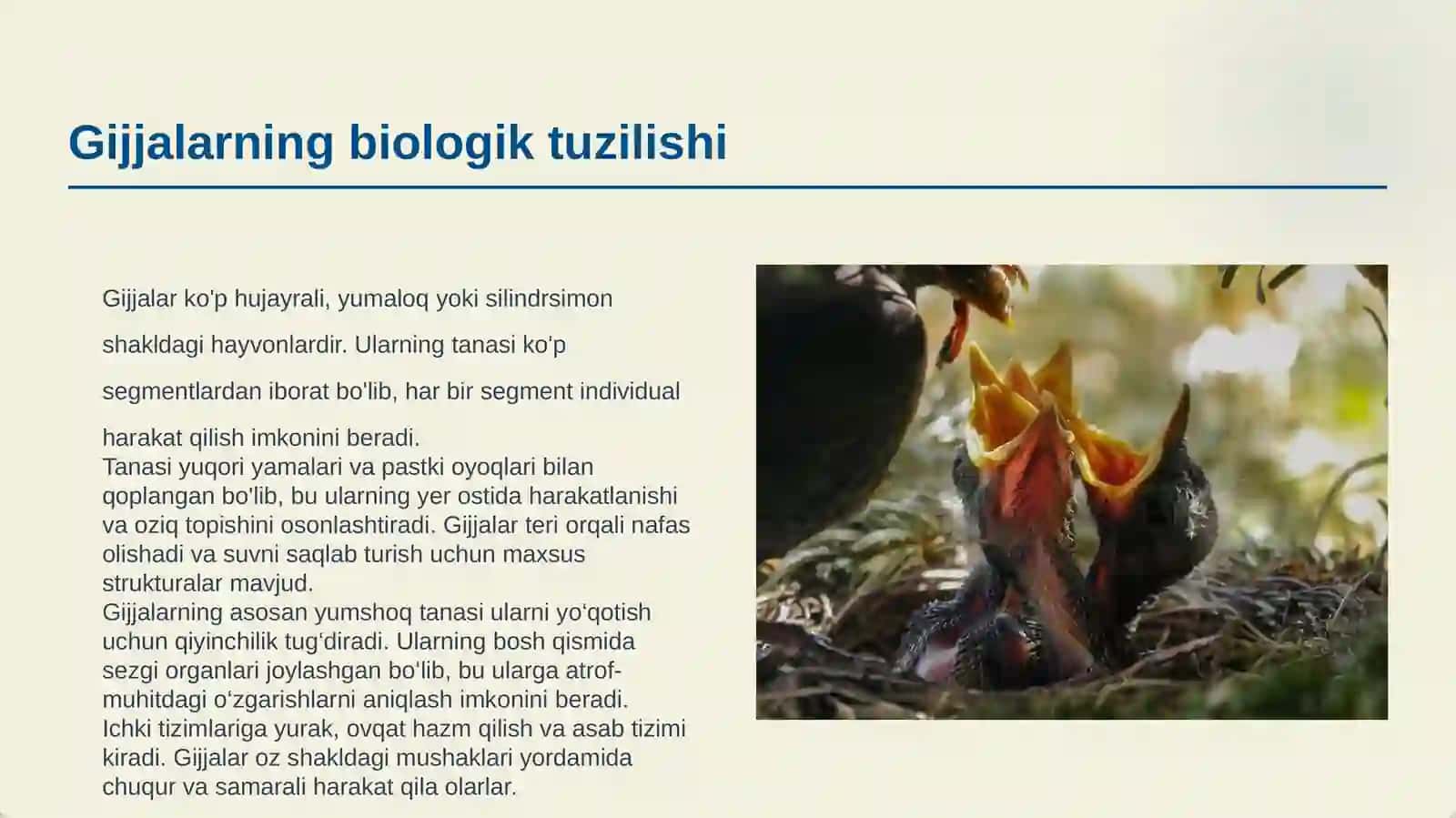 GIJJALARGA QARSHI VOSITALAR 3