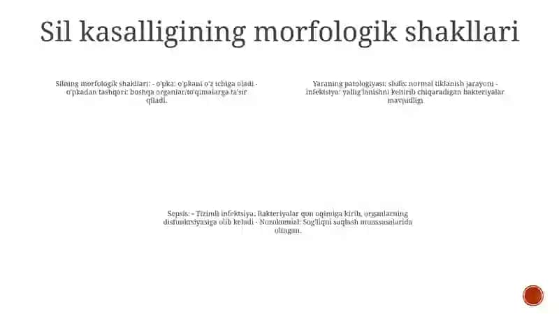 Sil.Kliniko-Morfologik Formalari 3
