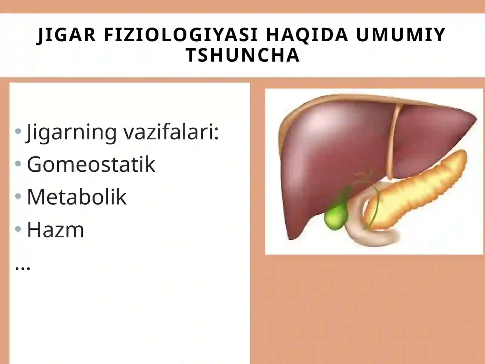 Fiziologiya prezentatsiya 3