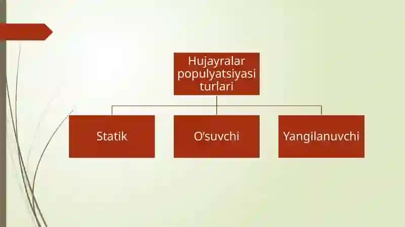 Hujayra populyatsiyasi turlari 3