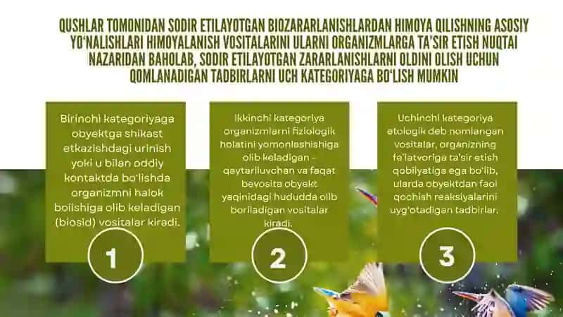 Qushlarning Zararidan Himoyalash Usullari 3