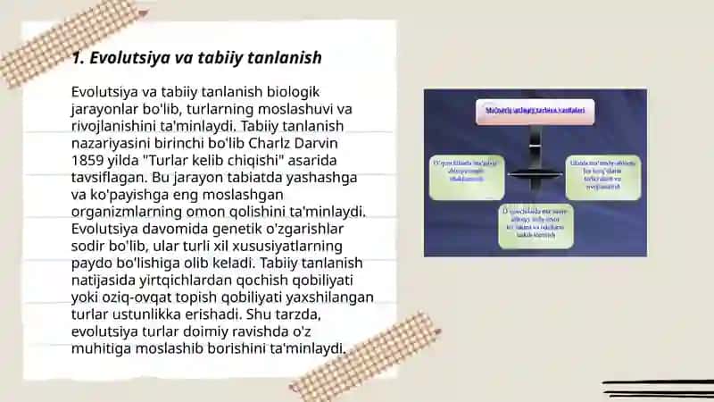 Evolutsiya elementar omillarining odam populyatsiyalariga ta'siri 3
