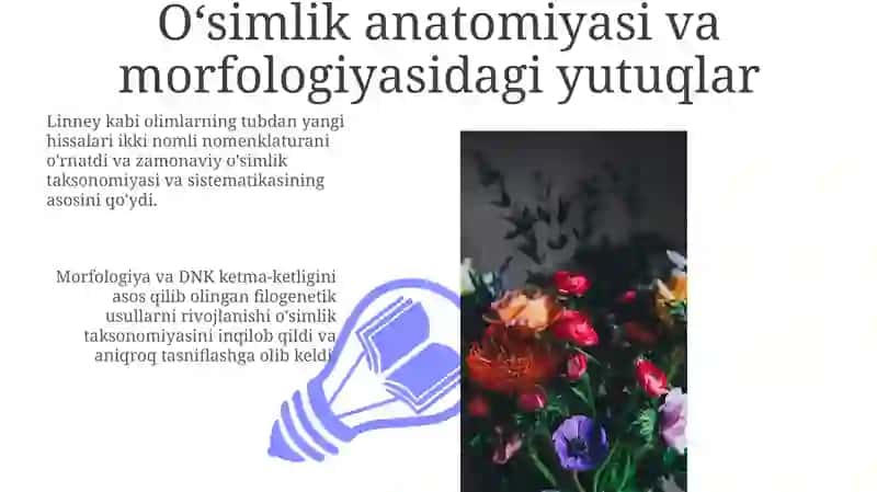 Oʻsimlik anatomiyasi va morfologiyasi 3