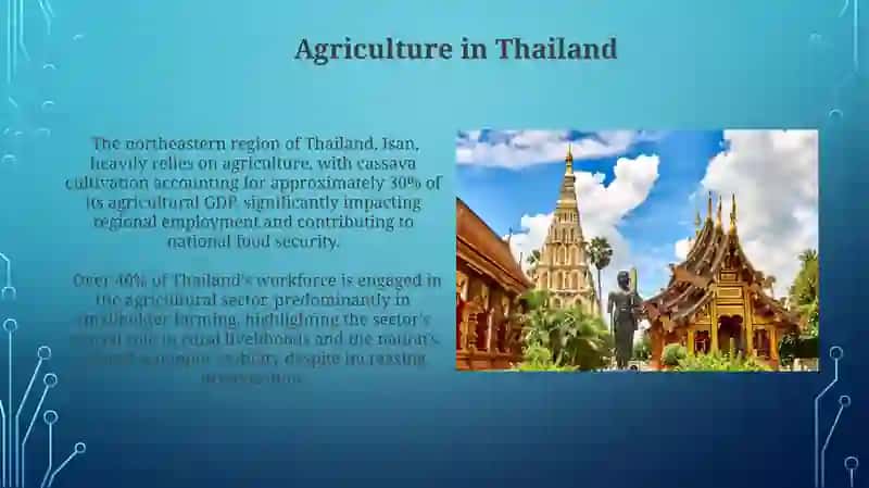 Economy of Tailand 3