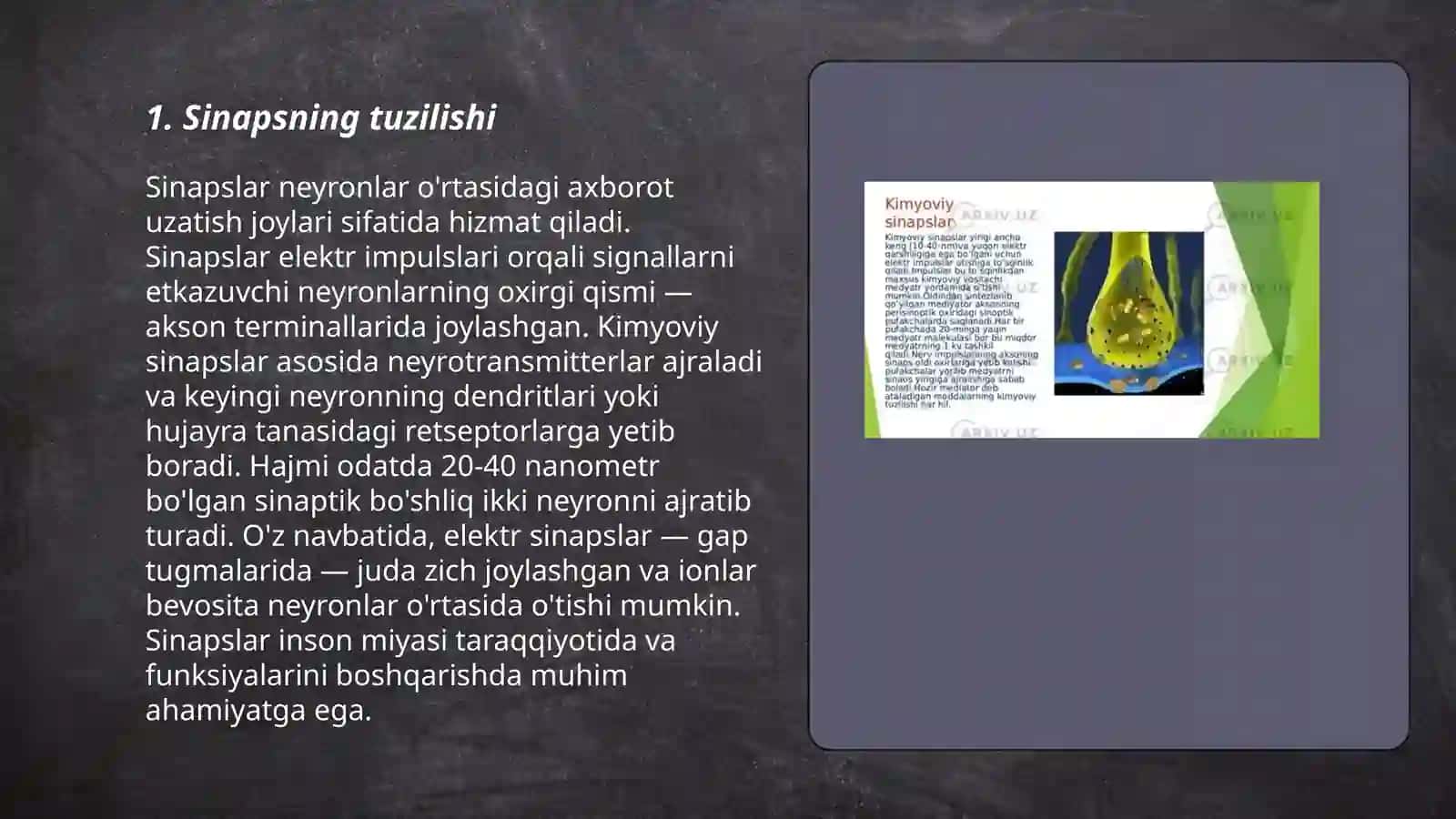 Qòzğalishning sinaps orqali òtishi 3