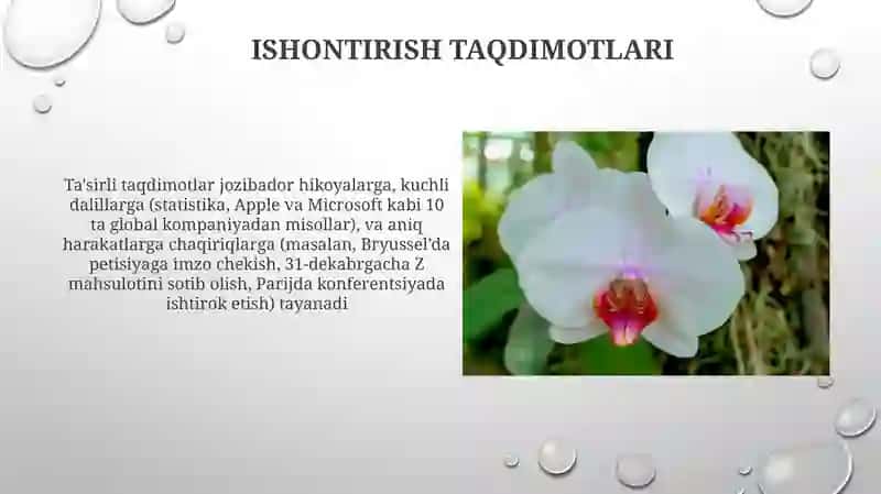 Ishontirish taqdimotlari 3