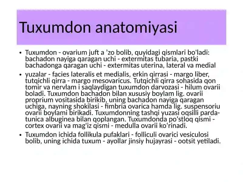 Ayollar jinsiysi sistemasi anatomiyasi 3