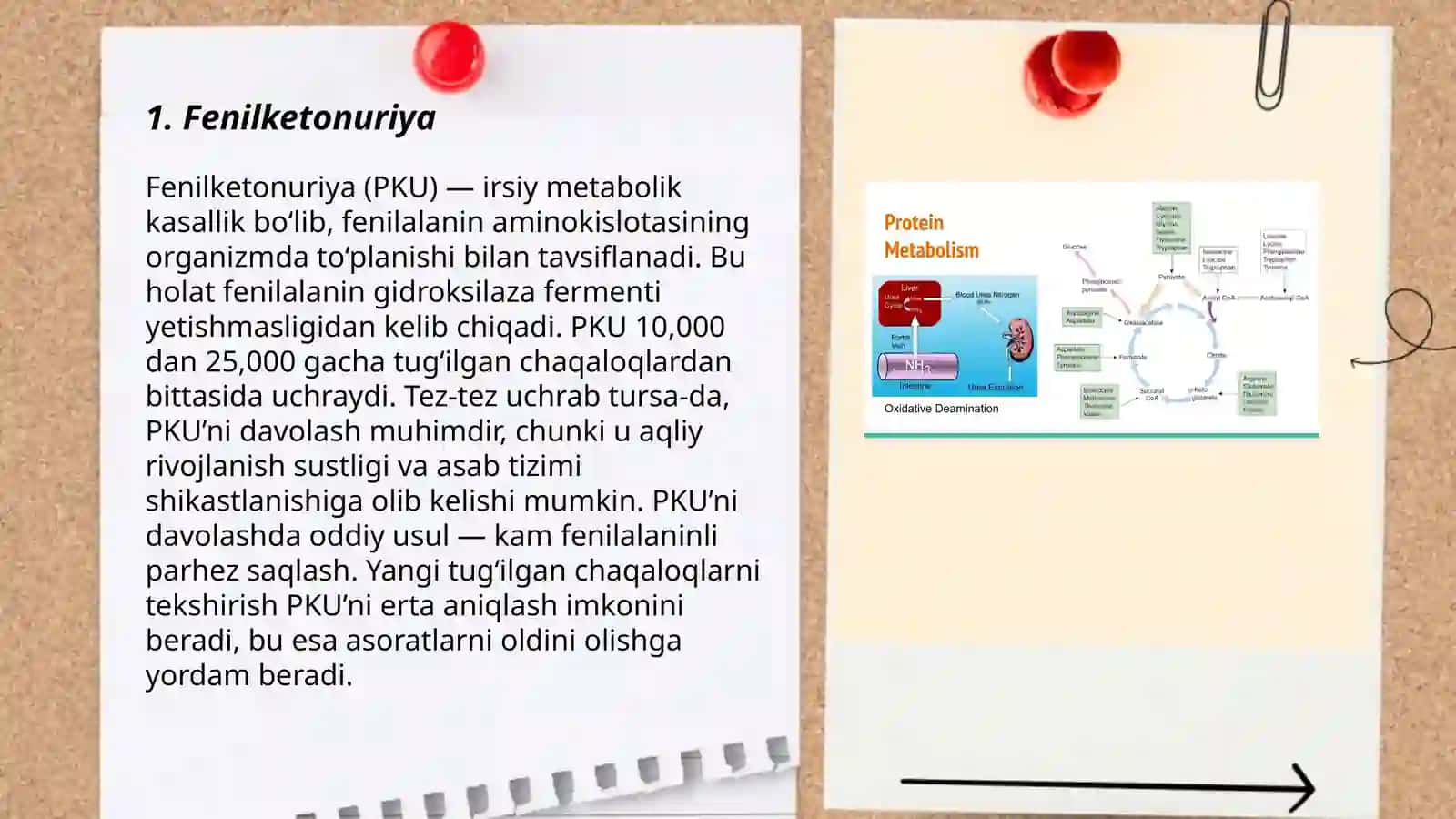 Fenilketonuriya (PKU) 3
