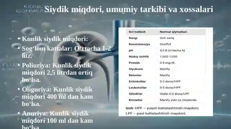 BUYRAK FIZIOLOGIYASI 3