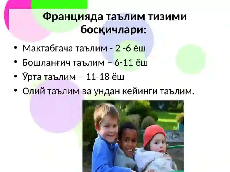 Ta'lim Tizimi 3