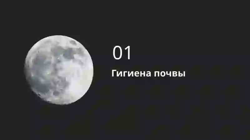 Почва и здоровье, гигиена, защита, питание 3
