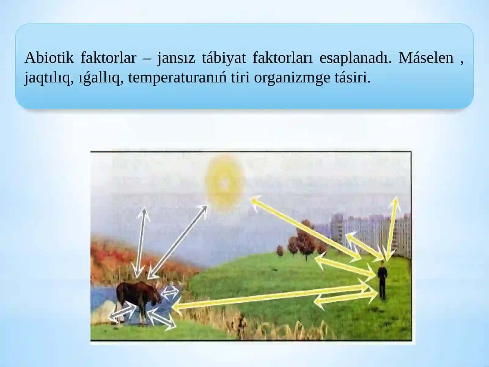Ekologiyalıq faktorlar 3