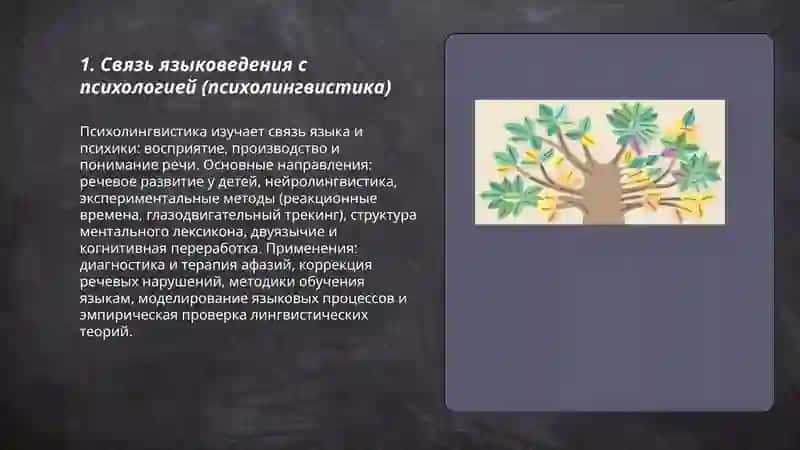 Связь языковеденья с другими науками 3