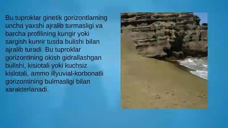 Amerika tuproqlari 3